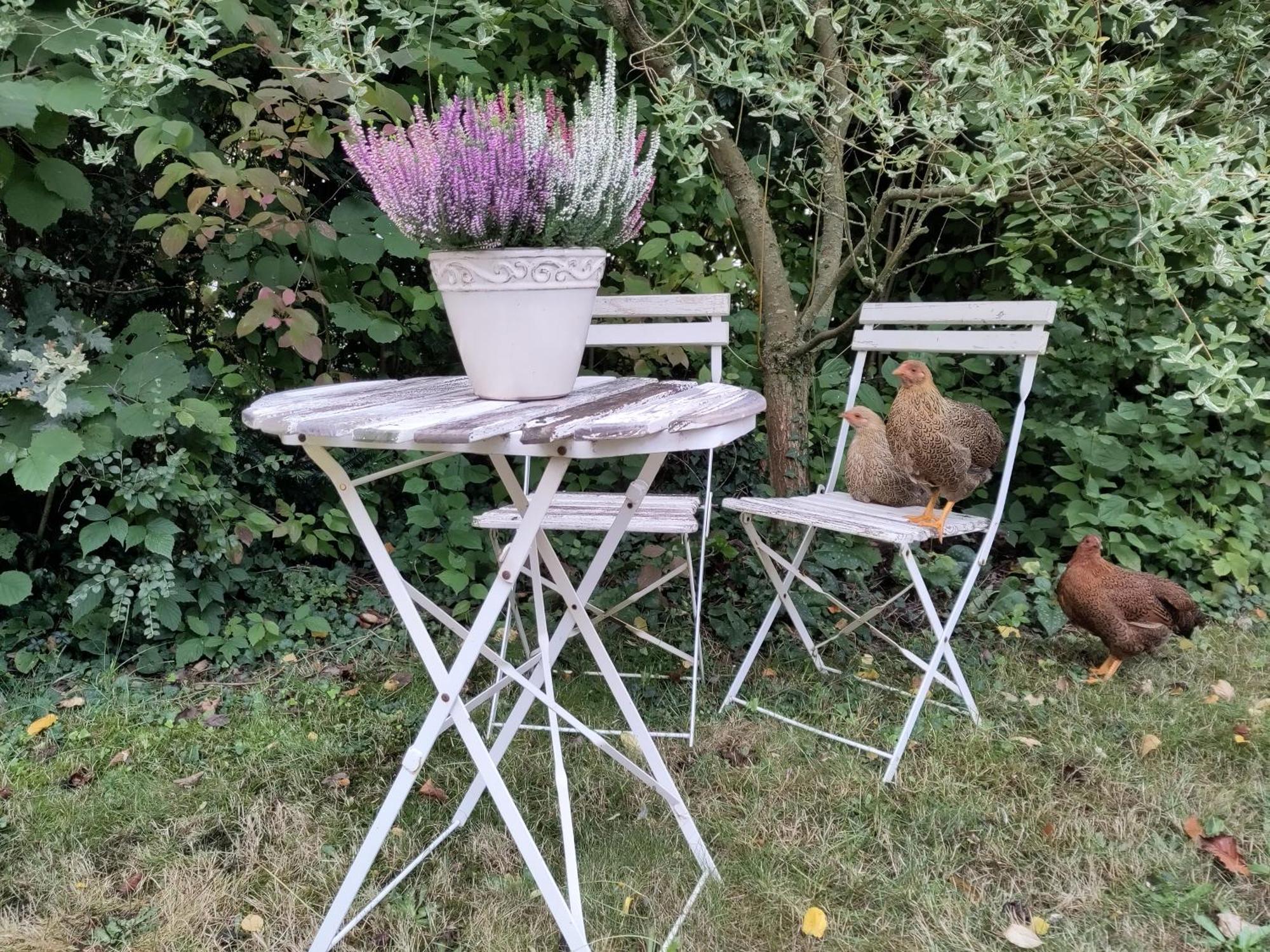 Ruhige Ferienwohnung „Suedhang“ Direkt Am Wald Bad Arolsen Esterno foto
