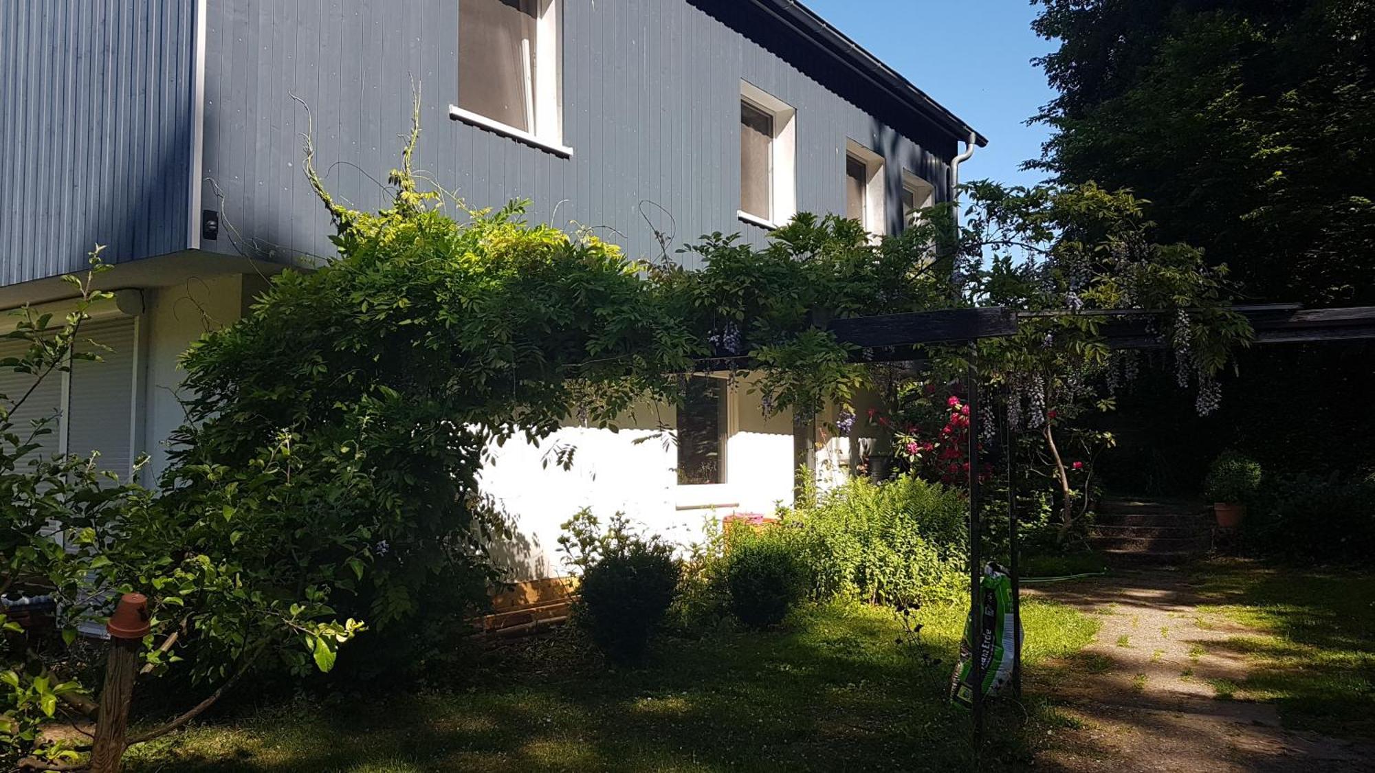 Ruhige Ferienwohnung „Suedhang“ Direkt Am Wald Bad Arolsen Esterno foto